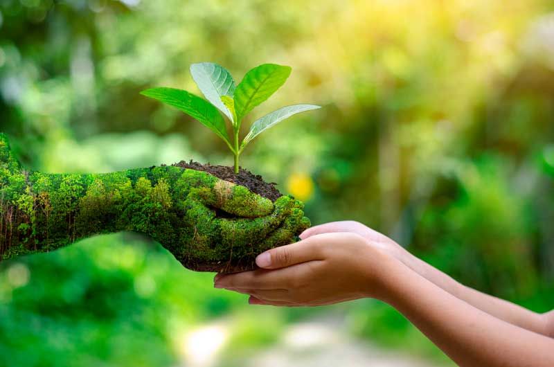 Entenda a relação entre o meio ambiente e a saúde