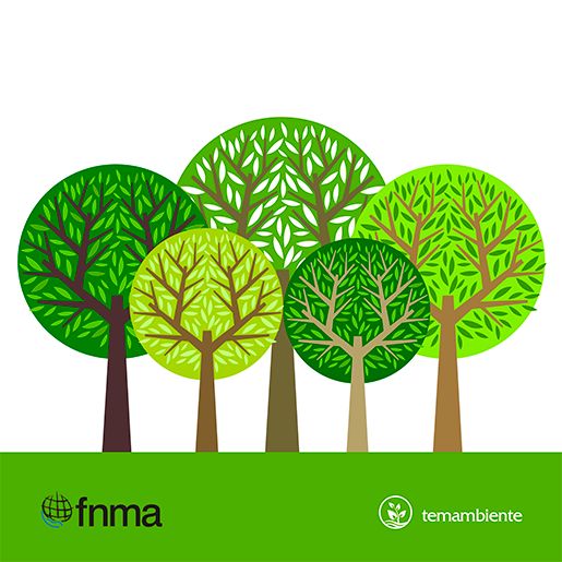 FNMA - Fundo Nacional do Meio Ambiente