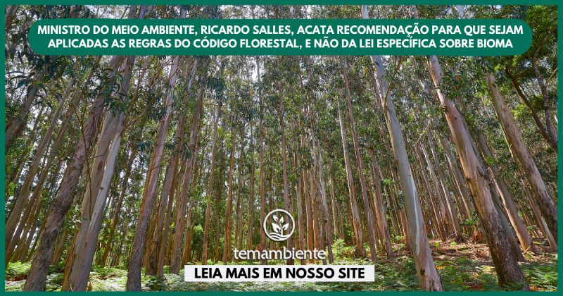 MPF afirma que haverá “enfrentamento jurídico” para que a lei da Mata Atlântica continue operando no bioma sem sobreposição do Código Florestal