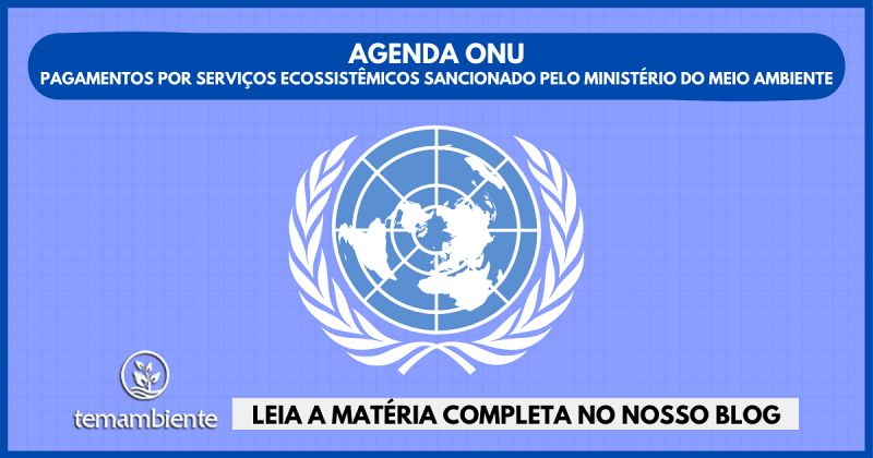 PROGRAMA DAS NAÇÕES UNIDAS PARA O DESENVOLVIMENTO (PNUD) - ONU BRASIL