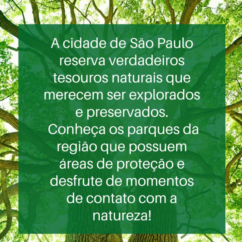 A cidade de São Paulo reserva verdadeiros tesouros naturais que merecem ser explorados e preservados